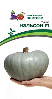 Тыква Нэльсон F1,  5 шт.