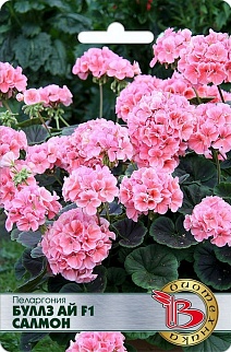 Пеларгония Буллз Ай F1 Салмон, 5 шт. Биотехника