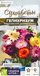 Гелихризум Королевский размер, 0,1 г. Сухоцветы.