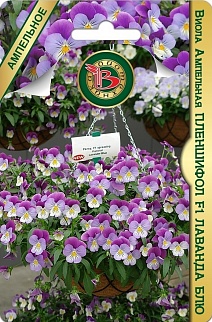 Виола ампельная Пленшифoл F1 Лаванда Блю, 6 шт. Биотехника