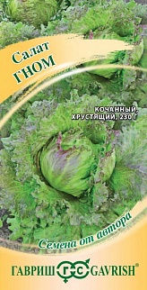 Салат кочанный Гном, 0,5 г. Авторские семена.