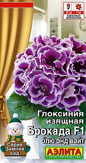 Глоксиния Брокада F1 блю энд вайт, 5 шт.