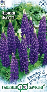 Люпин многолистный Фауст, 0,5 г. Устойчив к заморозкам.