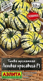 Тыква мускатная Ленивая красавица F1, 5 шт.
