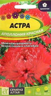 Астра Аполлония красная, 0,2 г 