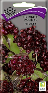 Гвоздика Турецкая Нигриканс, 0,3 г