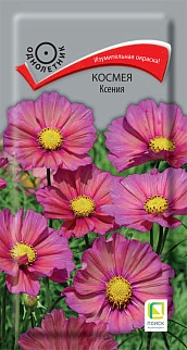 Космея Ксения, 10 шт.