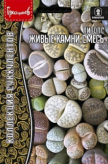 Литопс Живые Камни смесь, 4 шт. 