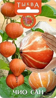Тыква Чио Сан, 6 шт. Биотехника