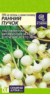 Лук на зелень Ранний Пучок, 0,5 г
