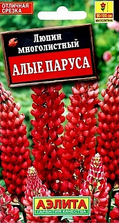 Люпин Алые паруса многолетний, 15 шт.