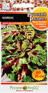 Колеус Русский размер, 4 шт. Русский огород