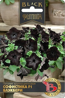 Петуния Софистика F1 Блэкбери, 6 шт. Black Platinum Биотехника