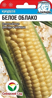 Кукуруза Белое Облако, 10 шт. Сибирский сад.