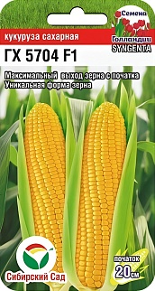 Кукуруза ГХ 5704 F1, 6 шт. Семена Голландии. Сибирский сад.