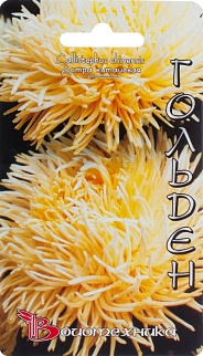 Астра китайская Дракон Гольден, 70 шт. Биотехника