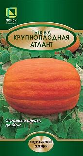 Тыква Крупноплодная Атлант, 5 шт.