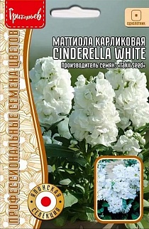 Маттиола Cinderella White карликовая махровая, 5 шт.