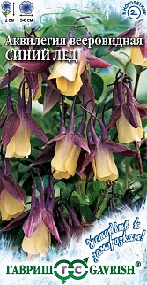 Аквилегия Синий лед, вееровидная, 10 шт.