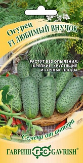 Огурец Любимый внучок F1, 10 шт. Авторские семена.