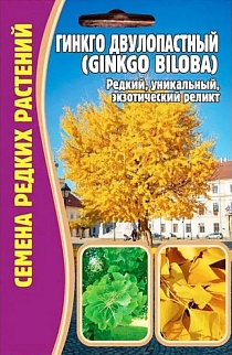 Гинкго двулопастный (Гинко билоба), 3 шт.
