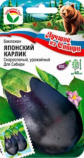 Баклажан Японский карлик, 20 шт.