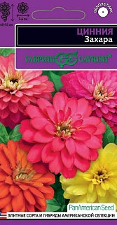 Цинния Захара смесь, 6 шт. Эксклюзив.