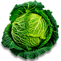Капуста савойская