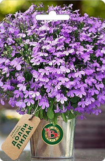 Лобелия кустовая Долли  Лилак, 10 шт. Биотехника