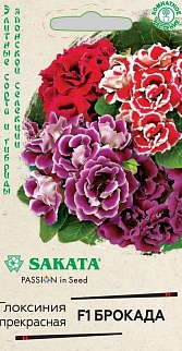 Глоксиния Брокада F1, смесь, 5шт. Саката.