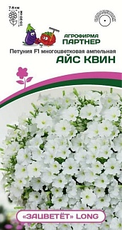 Петуния "Зацветёт" Long Айс квин F1, ампельная, 5 шт. 