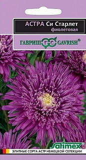 Астра Си Старлет фиолетовая, 0,05 г. Эксклюзив