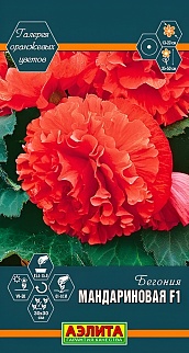 Бегония Мандариновая F1, 5 шт.