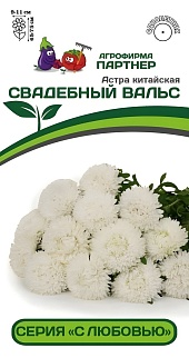 Астра китайская Свадебный Вальс, 5 шт. С любовью 