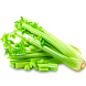 Сельдерей