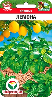 Базилик Лемона, 50 шт.