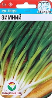 Лук Батун Зимний, 1 г. Сибирский сад