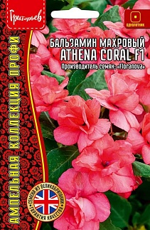 Бальзамин Athena Coral F1, (Афина Коралл) махровый, 4 шт. амп.