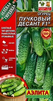 Огурец Пучковый десант F1, 10 шт.