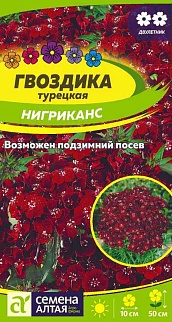 Гвоздика турецкая Нигриканс 0,1 г двулетник