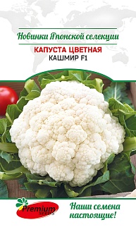 Капуста цветная Кашмир F1, 7 шт. Саката