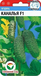 Огурец Каналья F1, 7 шт. Сибирский сад