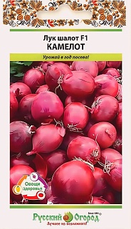 Лук шалот F1 Камелот, 15 шт. Русский огород