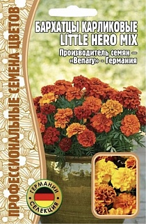Бархатцы Little Hero Mix карликовые Benary, 10 шт.