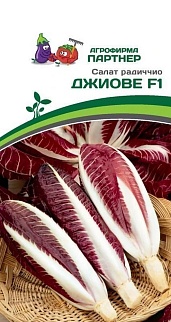 Салат радиччио Джиове F1, 15 шт.