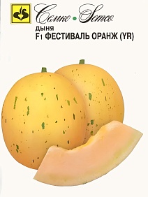 Дыня Фестиваль Оранж, 5 шт.