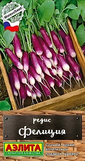 Редис Фелиция, 2 г