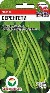 Фасоль Серенгети F1, 5 г. Семена Голландии. Сибирский сад.
