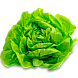 Салат