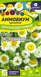 Аммобиум крылатый Крупноцветковый, 0,2 г